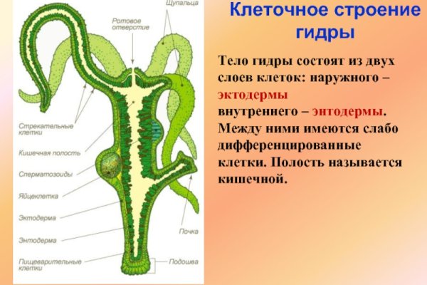 Актуальная ссылка на кракен в тор 2krnmarket