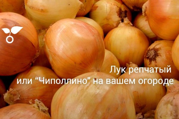Кракен маркет даркнет слушать