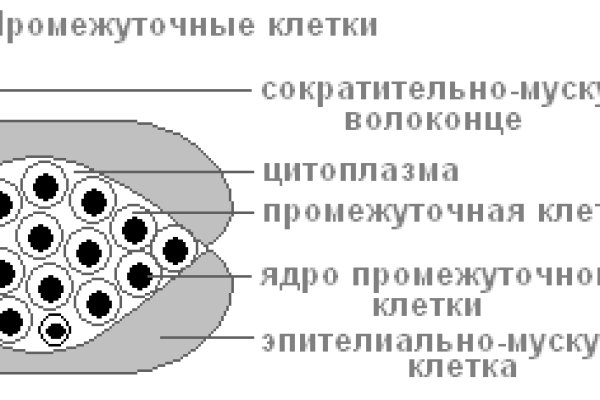Кракен сайт даркнет