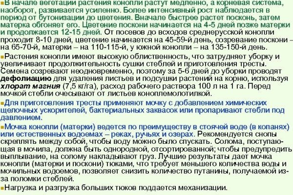 Через какой браузер заходить на кракен