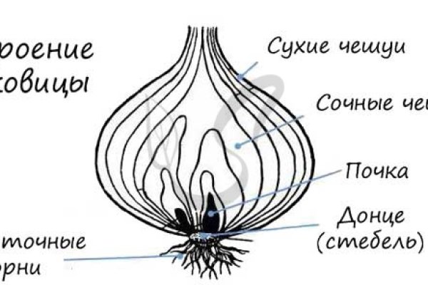 Оригинальная ссылка кракен браузера